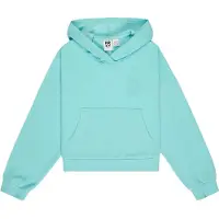Roxy Surfing By Daylight Rg Hoodie