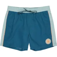 Billabong Dbah Panel Zwembroek