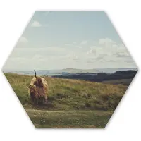 MuchoWow Hexagon wanddecoratie - Kunststof Wanddecoratie - Hexagon Schilderij - Schotse Hooglanders - Gras - Wolken - Dieren - 75x65 cm