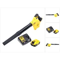DeWalt Bladzuiger + bladblazer, DCV 100 P1 18 V accu-blazer / bladblazer + 1 x DCB 184 5,0 Ah accu + lader (Oplaadbare batterij, Bladblazer)