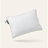 Presence Hoofdkussen - Luxury Dream 60 x 70 cm