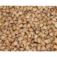 Wielink Boekweit 15 kg
