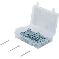 Bgs Nagel-assortiment 200 gram 2,5 x 40 mm