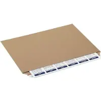 RAJA Kartonnen enveloppen Zelfklevend Bruin 458 x 328 mm 75 Stuks