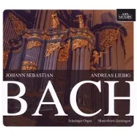 Import Bach,J.S./Reger,M.:Orgelwerke
