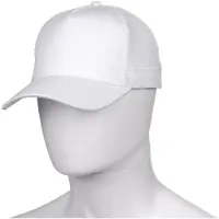 Payper Trucker pet Key West