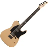 Fender Jim Root Telecaster Ebony Fingerboard Shoreline Gold