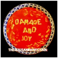 Cd Damage And Joy