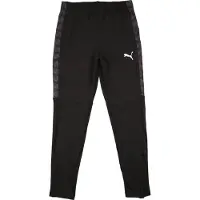 Puma Sportbroek 'TeamLIGA26' antraciet / donkergrijs / zwart / wit