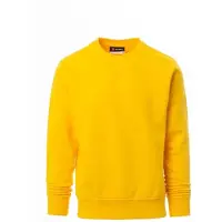 Payper 0308 ORLANDO SWEATSHIRTS ROUNDNECK