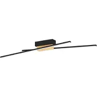 Eglo Plafondlamp Panagria Hout Zwart 2x13w