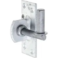 Alberts 318758 plaatduim om vast te schroeven | verstelbaar met 20 mm | thermisch verzinkt | doornmaat Ø13 mm | plaat 100 x 40 mm