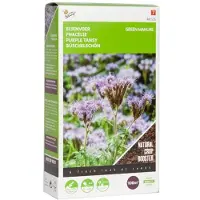 Buzzy Groenbemester Phacelia Tanacetifolia 100gr