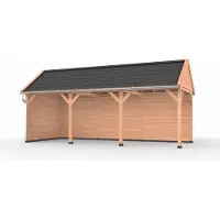 Westwood Douglas overkapping zadeldak, 750 x 300, met achterwand en zijwand, Ruiter Basic