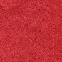 vidaXL Antislip Badmat Rood 70 x 120 cm PP