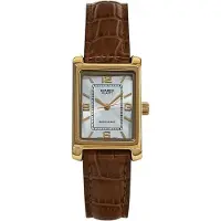 Casio Analoog horloge bruin / goud