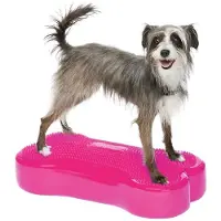FitPAWS - K9FITbone - 58x29x10 cm - Diverse kleuren