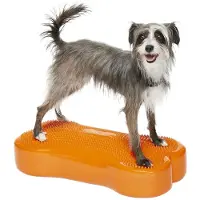 FitPAWS K9fitbone – Balansspeelgoed – Pvc – Oranje – 58x29x10cm