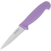 Hygiplas Officemesje 9cm Paars - FP732