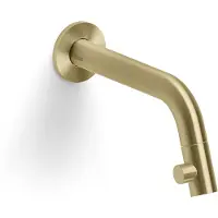 Clou Fonteinkraan kaldur wandmontage met lange uitloop 2x16x6,8 cm goud geborsteld pvd