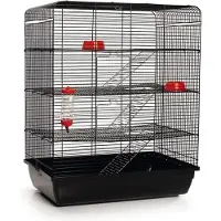 Beeztees Remy - Rattenkooi - Zwart - 58x38x71 cm