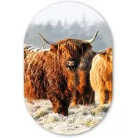 MuchoWow Muurovaal 40x60 cm - Ovale wanddecoratie Schotse Hooglanders - Sneeuw - Bos - Ovalen schilderij - Muurdecoratie woonkamer - Kamer decoratie - Schilderijen - Wandcirkel