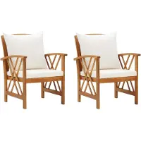 vidaXL Tuinstoelen 2 st met kussens massief acaciahout