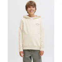 Jack & Jones Junior Sweatshirt 'JJEBrandes' roestbruin / wolwit