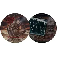 Cannibal Corpse LP - Bloodthirst - voor Geen - standaard | Maat Standard