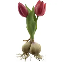 Buitengewoon Boet Kunst Tulpen met Bol x2 Beauty - 18 cm-Real Touch Tulpen -Kunstbloemen - Kunst Tulpen - Kunst Boeket - Tulp - Latex Bloem - Bruiloft