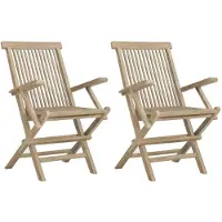 vidaXL Tuinstoelen inklapbaar 2 st 56x61x89 cm massief teakhout grijs