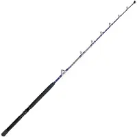Expert Predator Stand Up Atlantic Trolling Rod Zilver 1.65 m / 8-12 Lbs