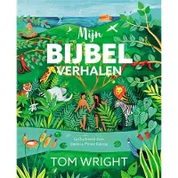 Jongbloed Uitgeverij BV Mijn bijbelverhalen (Hardback)