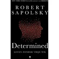 Borgerhoff & Lamberigts Determined (Hardback)