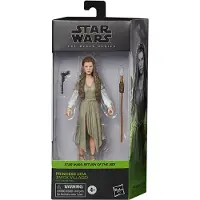 Hasbro Leia Return Of The Jedi Princess Ewok Village Black Series Figure Veelkleurig Kinderen