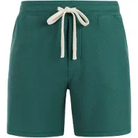 Protest graig shorts strandshort heren -