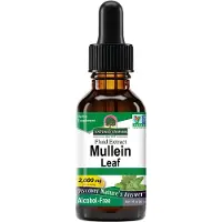 Natures Answer Mullein verbascum thapsus extract alcoholvrij (30 ml)