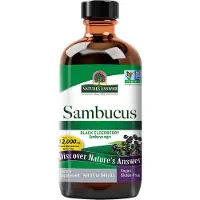 Natures Answer Sambucus Original (240 Milliliter)