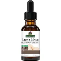 Natures Answer Lion's Mane Extract 30 ml Vloeistof (30 Milliliter)