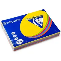 Clairefontaine multipack intens geel/groen/oranje/blauw/roze 80 grams A3 (5 x 100 vel)