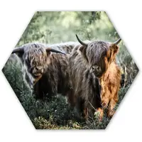MuchoWow Hexagon wanddecoratie - Kunststof Wanddecoratie - Hexagon Schilderij - Schotse Hooglanders - Bos - Dieren - 75x65 cm