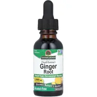 Natures Answer Gember extract alcoholvrij