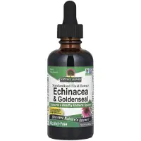 Natures Answer , Echinacea & Goldenseal, Gecentraliseerd Vloeibaar Extract, Alcoholvrij, 2 fl oz (60 ml)