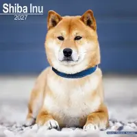 Avonside Publishing Ltd. Shiba Inu Kalender 2027