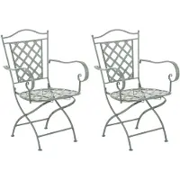 CLP Metalen stoelen Adara (set van 2) - Antiek groen