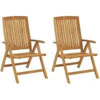 vidaXL Tuinstoelen 2 st verstelbaar met kussens massief teakhout