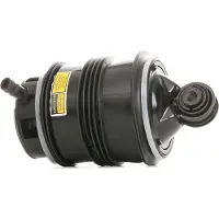 RIDEX 4119A0021 Luchtbalg