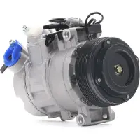 RIDEX 447K0176 Aircopomp