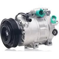 RIDEX 447K0072 Aircopomp