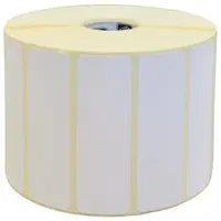 TSC DT-S100036LL labels 100 mm x 300 m (origineel)